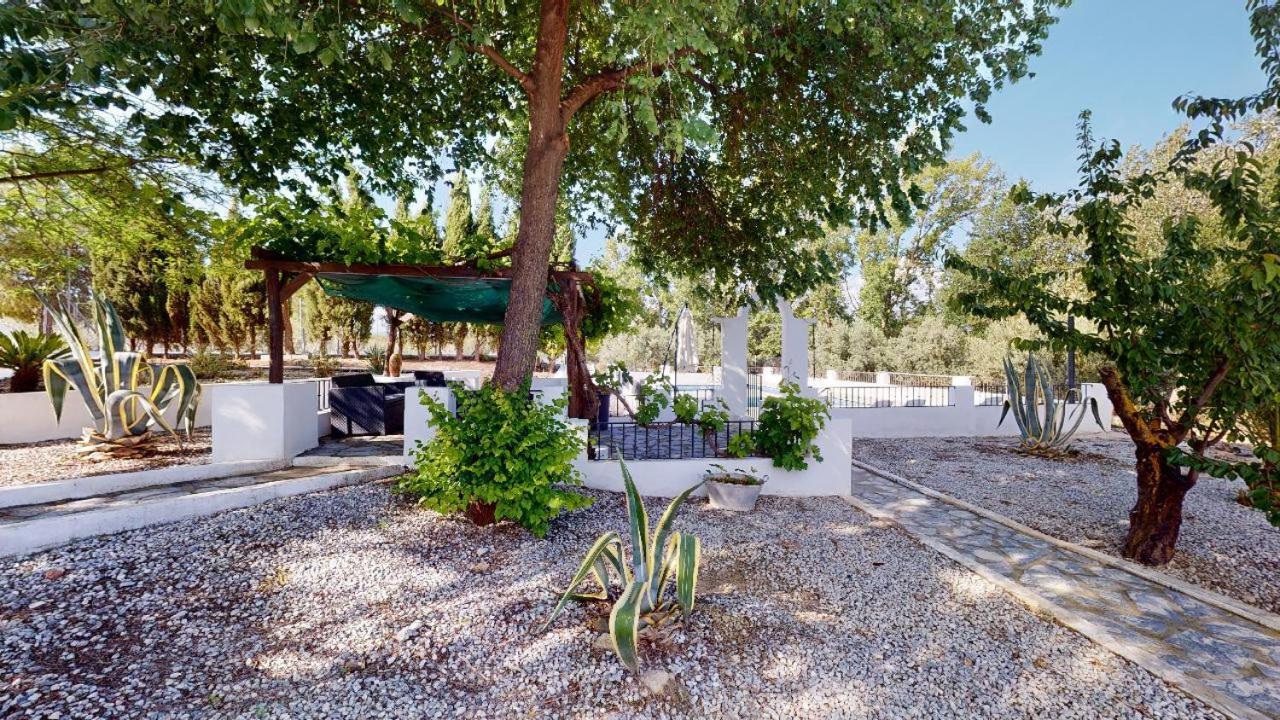 Caniles Casa Lucia Bed & Breakfast エクステリア 写真